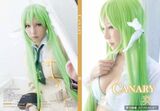 Erogenous coser [bit]Canary_ fine[100p] (102P)