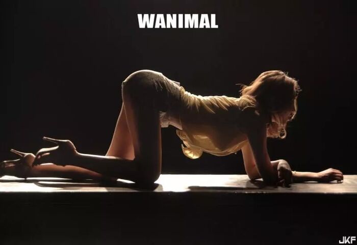 WANIMAL 王動系列2 (204P) 44th image