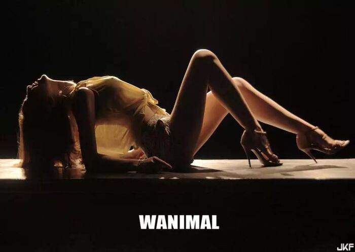 WANIMAL 王動系列2 (204P) 45th image