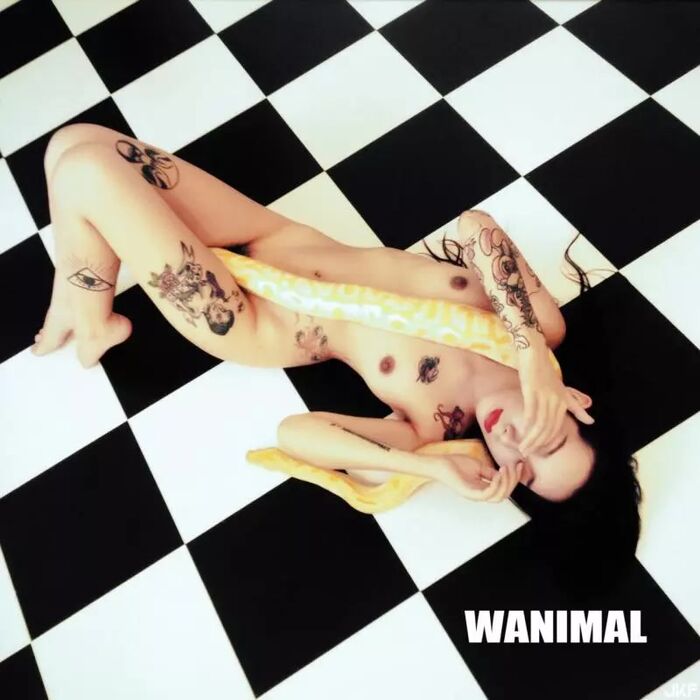 WANIMAL 王動系列2 (204P) 90th image