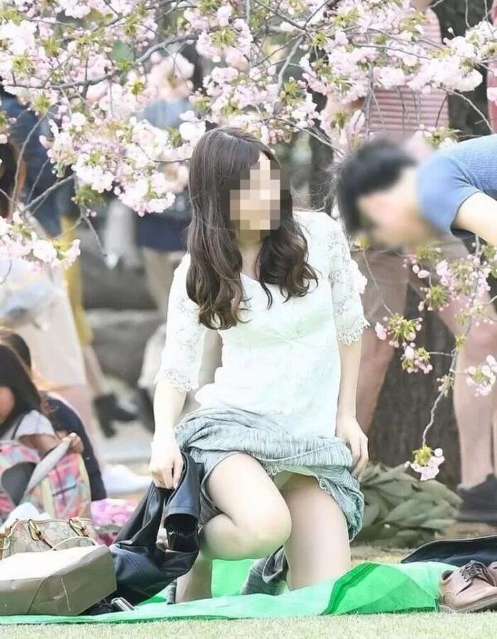 Cherry blossom viewing panchira of amateur girls who can enjoy cherry blossoms and pants at the same time 3th image