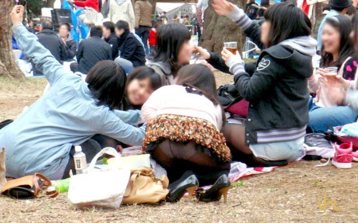 Cherry blossom viewing panchira of amateur girls who can enjoy cherry blossoms and pants at the same time 6th image