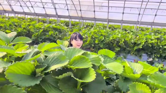 Momono Rin 18-year-old beautiful girl's climax AV debut 63th image