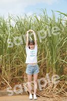 Nogizaka 46 Kaki Haruka, the privilege postcard image of the 1st swimsuit photo collection is very popular www 16 types are good and the topic! Navel out shot first release!